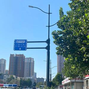 多功能综合杆路灯照明安防监控杆道路交通一杆多用共杆灯