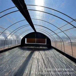 智能育苗温室大棚 双拱双膜拱棚 厂家上门安装 连栋薄膜温室大棚