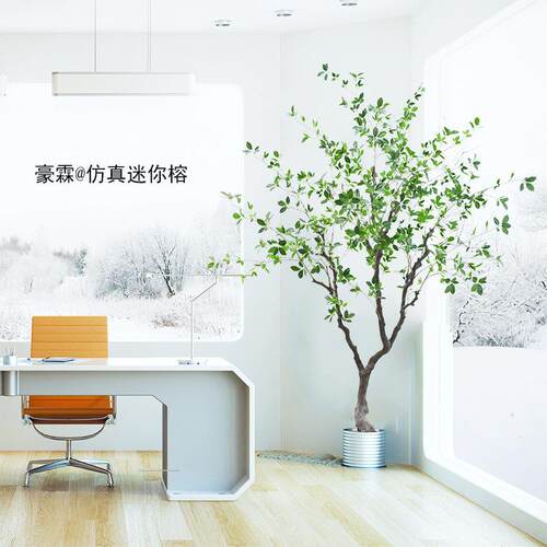 橄榄树仿真迷你榕室内装饰落地摆件景观假绿植工艺品