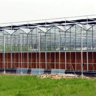 新型智能坚实用型玻璃温室大棚全自动控制图纸免费设计室外