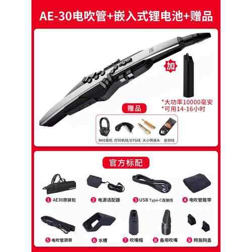 高档ROLN罗兰电吹管AE0 A2E30中老A年人初学者专业萨克斯乐D器葫