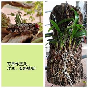 饰天然软木头道皮 工厂直销 葡萄牙软木树皮宠物造景躲避水族装