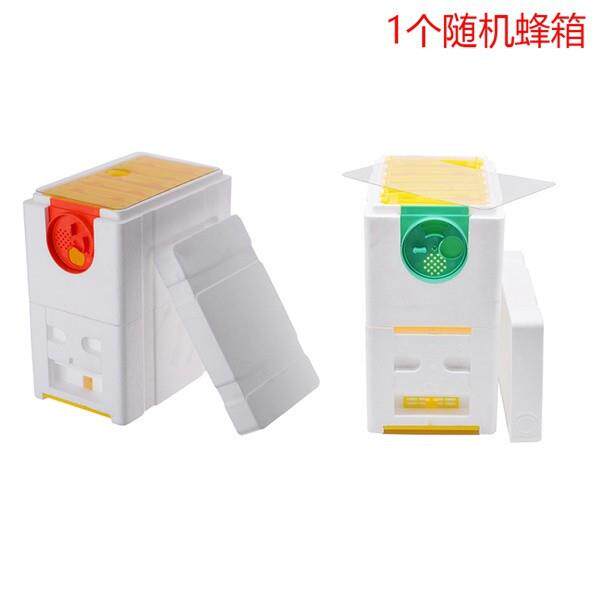 养蜂工具双层育王箱蜜蜂育王箱交尾箱蜂王培育蜂箱授粉箱套装