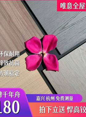 千年舟澳松板免漆柜门定制pet肤感柜门定做 衣柜柜门定制ENF