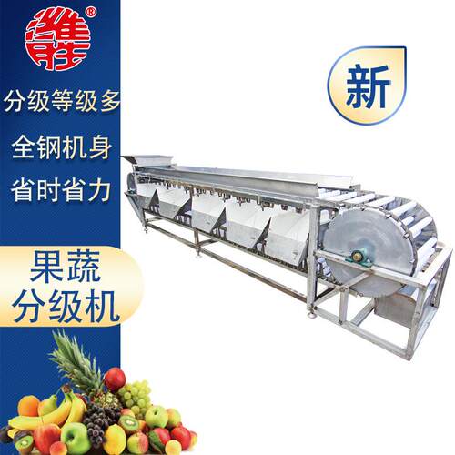 商用不锈钢全自动果蔬分级机苹果果蔬分级机设备土豆分级机设备