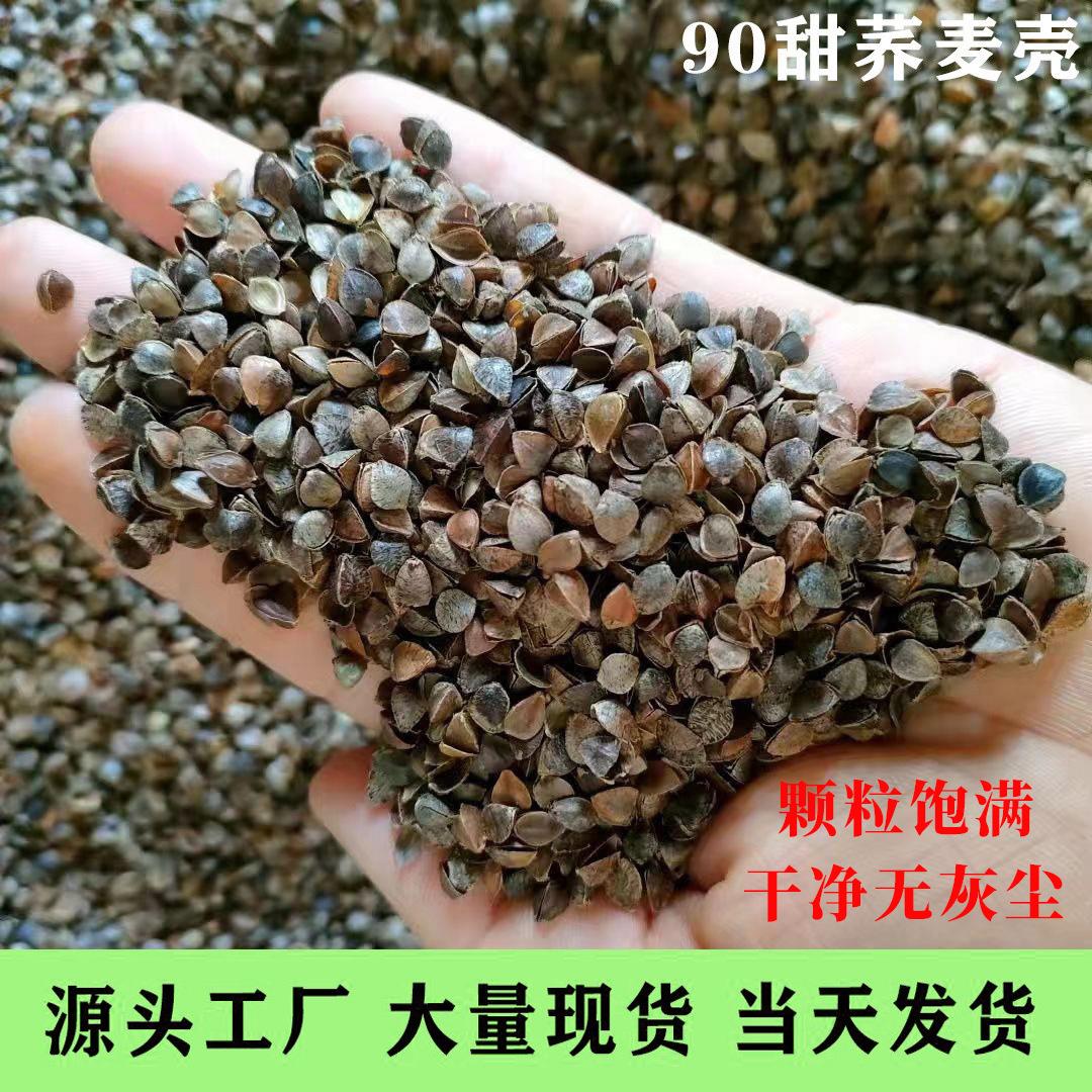 散装荞麦壳现货甜荞麦壳高温除尘水洗枕头填充芯免洗荞麦皮