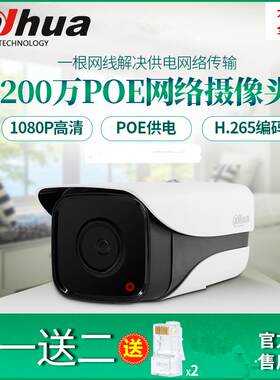 大华200万poe网路录音摄像机H.265监视摄影镜头1080P高清夜视红外