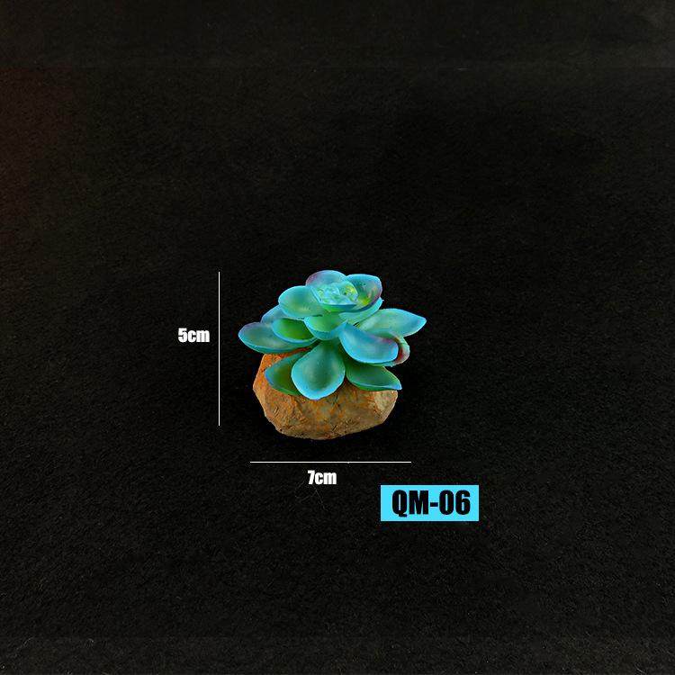宠物蜥蜴仿真植物装饰摆件生态绿植爬虫饲养箱陆龟守宫爬宠箱造景,宠物/宠物食品及用品,玩具/造景装饰,淘宝优惠券,粉丝福利购,淘宝优惠卷