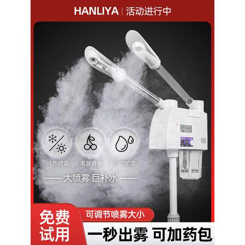 泰东热喷仪美容院专用冷热双喷蒸脸器家用脸部水疗补水纳米喷雾机
