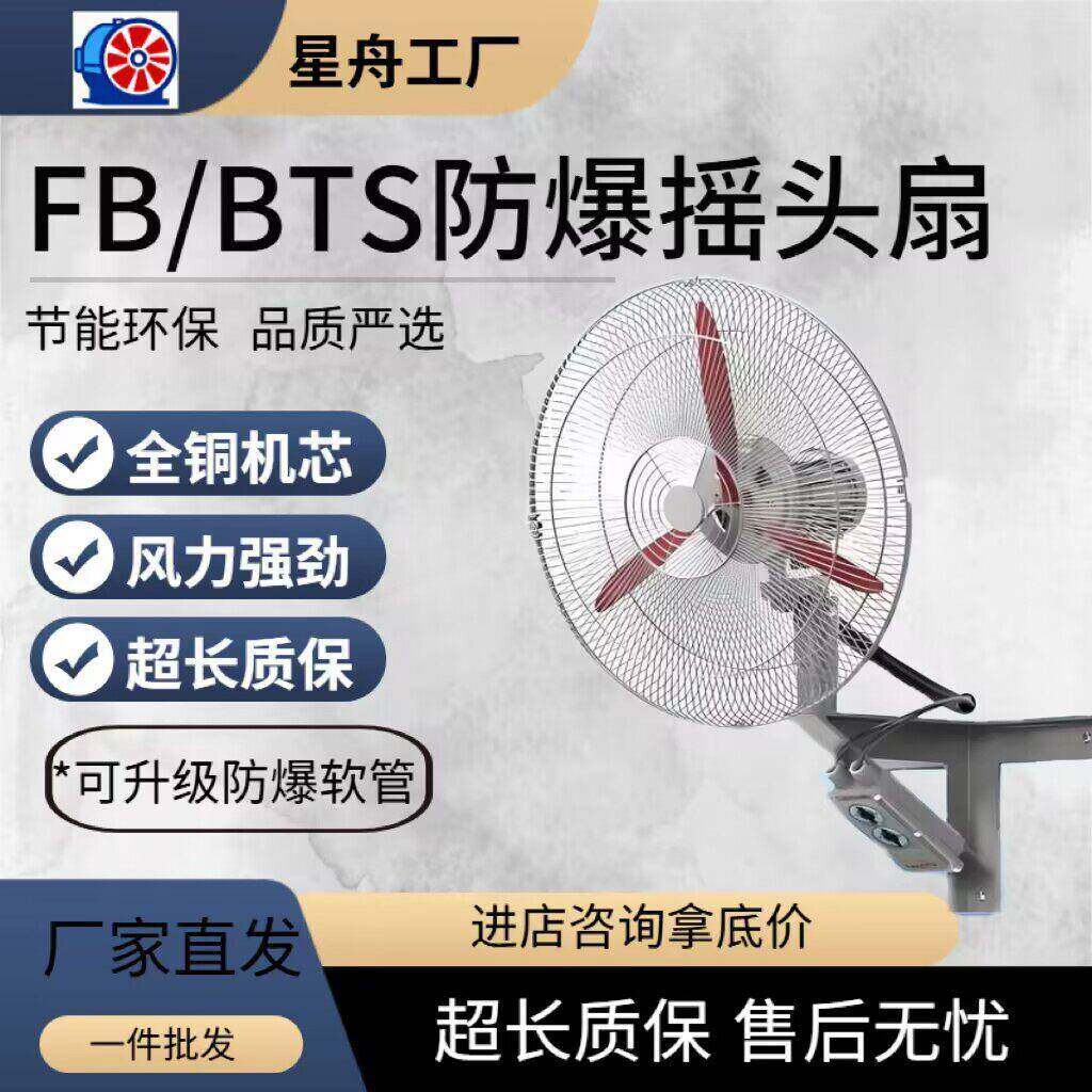 定制工业风扇FB/BTS壁式散热牛角扇防爆壁式摇头扇防爆轴流风扇