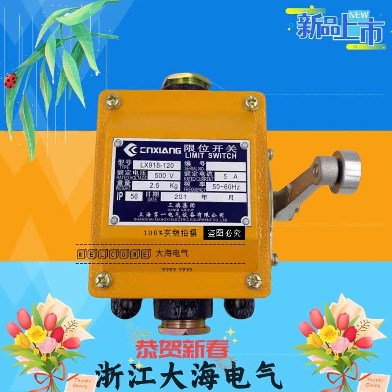 无锡船用限位开关LX918-120C防爆行程开关500V5A IP56质保一年