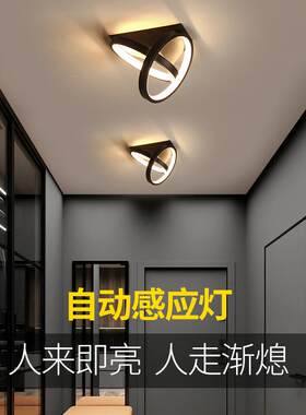特价入户灯玄关led过道走廊人体感应吸顶灯家用楼道衣帽间调光