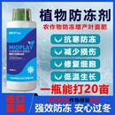 进口植物防冻剂防冻液果树蔬菜大棚花卉抗寒防冻液抗寒解冻伤