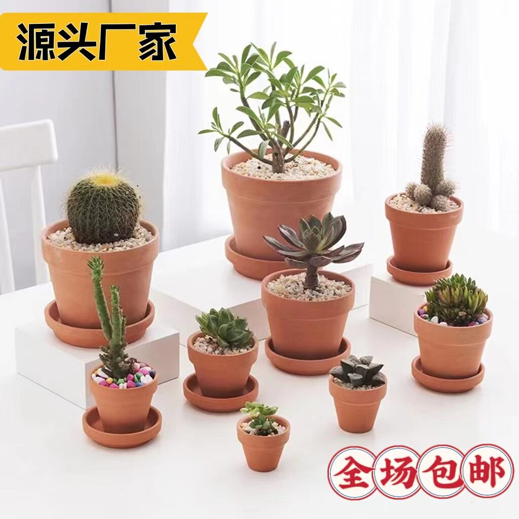亚马逊陶瓷花盆花盆透气绿植花瓶