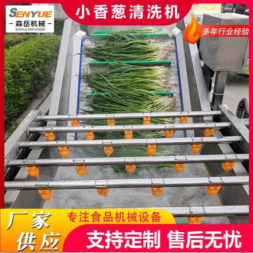 全自动果蔬气泡清洗机鲜毛豆气泡翻浪清洗机竹笋清洗机去泥沙设备