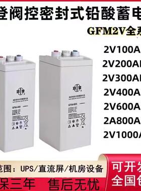 双登蓄电池GFM2V200AH 2V300 2V400 2V500 2V600 2V800电厂应急等