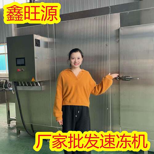 厂家直供金枪鱼连续式速冻机304不锈钢速冻设备低温三文鱼速冻机