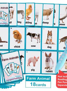 Kids Montessori Learning English Words Card Pocket Flash Car