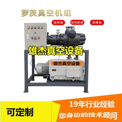 真空负压系统 罗茨真空机组 工艺品真空泵 树脂动漫真空泵 牌