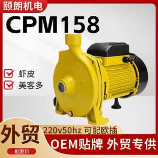 外贸专供CPM158离心泵CP130 110v水泵 CP150 CP170电压220v