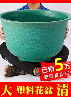 花盆包邮加厚龙缸盆塑料大花盆特大号种树果树盆铁树庭院家用