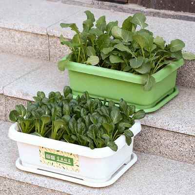 家庭阳台菜种菜用盆装蔬种植箱加厚塑料专长方UaTjTi/5形花盆套种