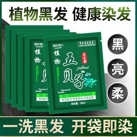 五贝子一洗黑纯植物染发剂流行色小瓶焗油膏免蒸焗油不沾头皮染头