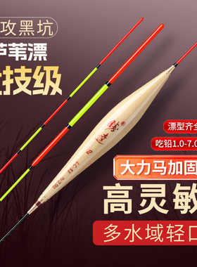 精品芦苇水域野钓混养加粗浮漂