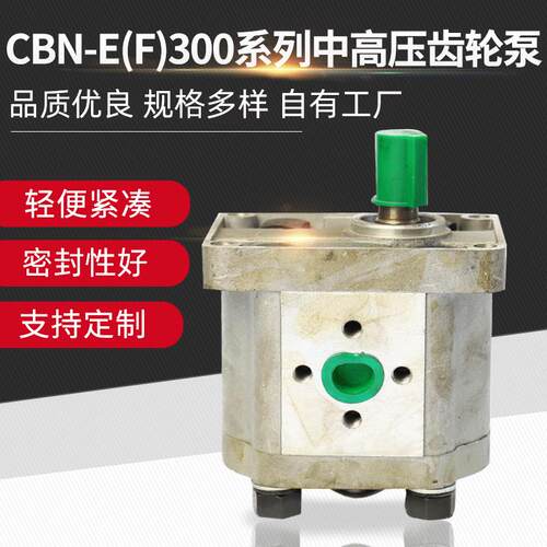 厂家供应CBN-E(F)300系列中高压齿轮泵液压齿轮泵