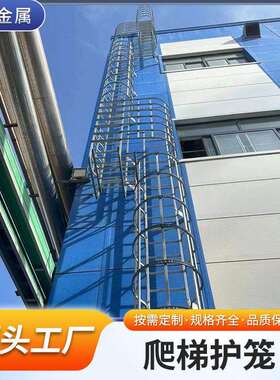 防护笼带护栏镀锌爬梯护笼梯笼地铁站护笼梯基30436不锈钢