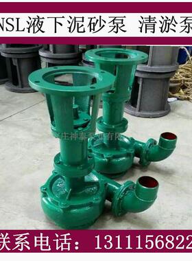 液下污水泵无堵塞立式泥浆泵立式吸砂50NS50NSL45-L泵45-抽9J船用