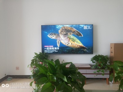 入手对比电视长虹65A7U和海信HZ65E52A优缺点是？配置参数区别是？哪款好用些？