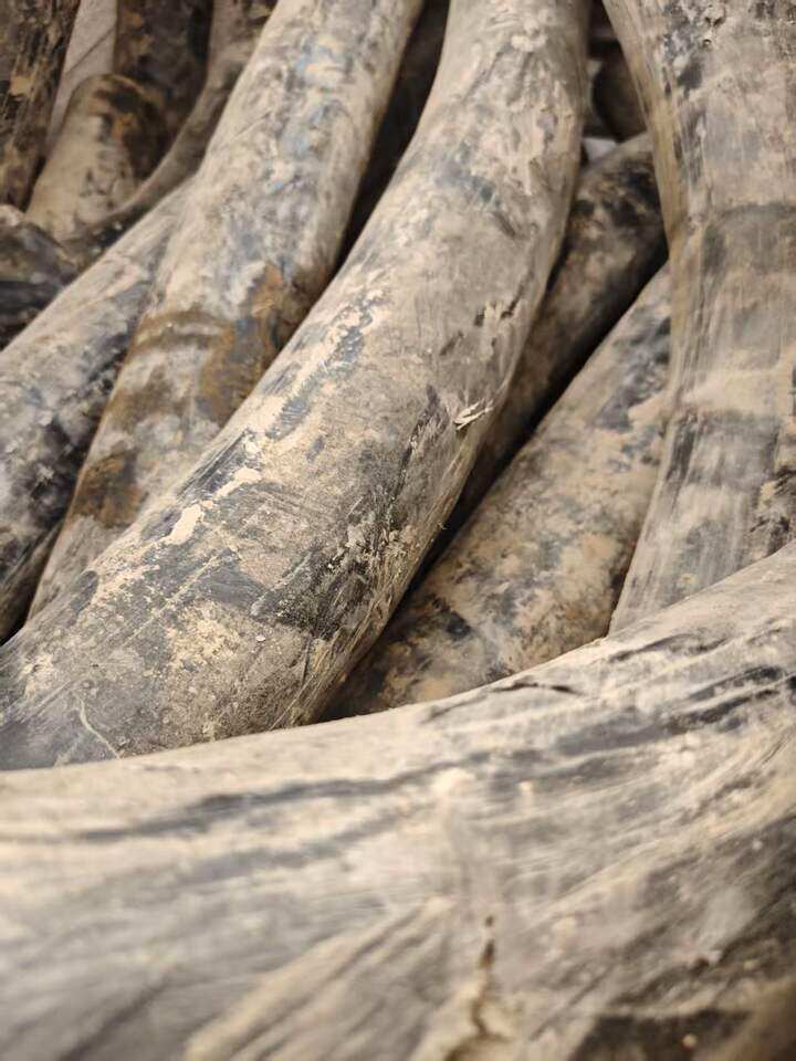 3月28日徐州市电缆线一批约740公斤网络拍卖公告