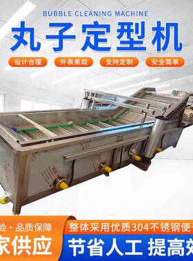 商用大型虾丸猪肉丸子电加热成型蒸煮机加工成套设备
