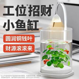 宠小帅新款网红铜钱草桌面小圆方缸吸金铜钱草绿植造景招