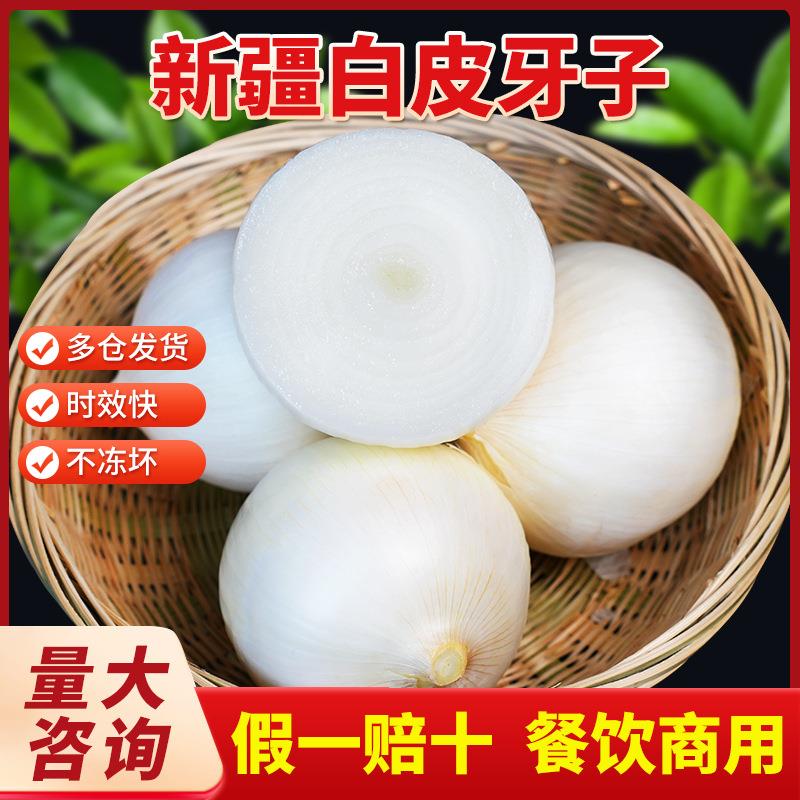 白洋葱新疆皮牙子手抓饭配料餐饮直供新货凉拌生吃新鲜新疆直发