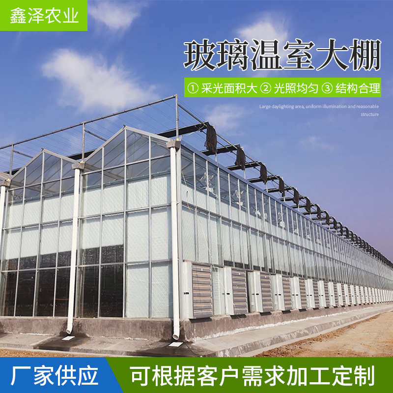 温室厂家承接各种温室工程 高端智能玻璃温室大棚 玻璃温室大棚
