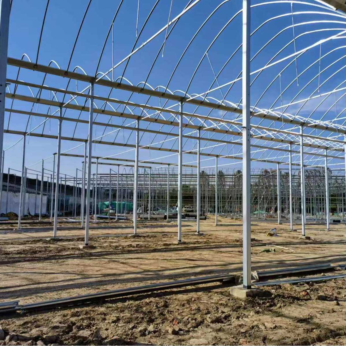 薄膜连栋温室大棚厂厂  双拱双膜新式保温棚生产加工蔬菜种植棚,农机/农具/农膜,温室大棚支架,淘宝优惠券,粉丝福利购,淘宝优惠卷