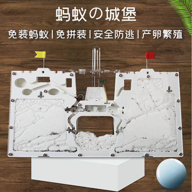 蚂蚁城堡沙土系列套餐正品工坊蚁巢生态屋箱盒蚂蚁王国送繁殖蚁后