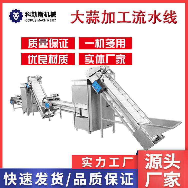 大蒜流水线 大蒜脱皮机成套设备 调味品流水线 蒜头深处理设备
