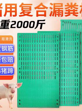 复合漏粪板猪用产床漏粪地板母猪定位栏保育防滑板仔猪育肥漏屎板