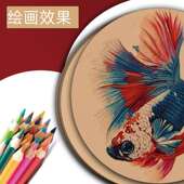 圆形卡纸白卡纸加厚儿绘画纸黑色20c手工硬纸板幼色m儿 uMVsMLC园