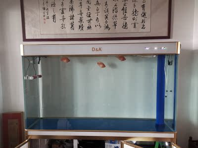 德国德克鱼缸水族箱真实使用体验反馈，不吹不黑点评真相