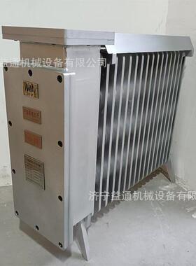 RBZ-2/127矿用隔爆兼增安型电热取暖器防爆油丁煤矿用加热电暖器