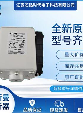 170M5531 170M5532 170M5533巴斯曼BUSSMANN快速熔断器保险丝