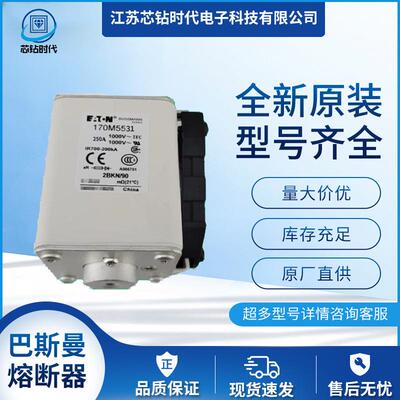 170M5534 170M5535 170M5536巴斯曼BUSSMANN快速熔断器保险丝
