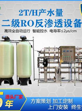 厂家直销工业纯水设备2T/H二级RO反渗透过滤器电池原液用水净水器