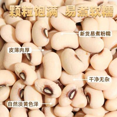 2025白眉豆小白扁豆新货50g饭豆米江豆豇豆白豆子五谷杂粮煲汤豆
