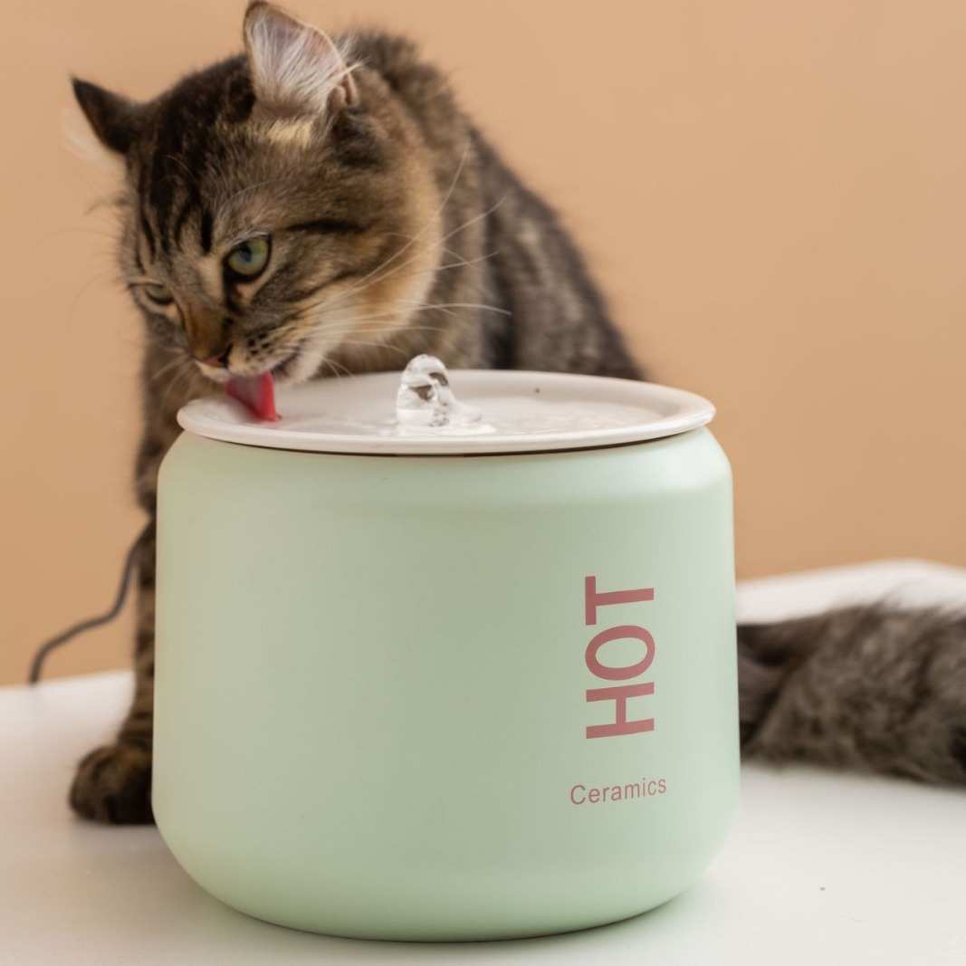 自动饮水机陶瓷防智能喂宠物水器可乐活水饮猫咪干烧插电水器有线