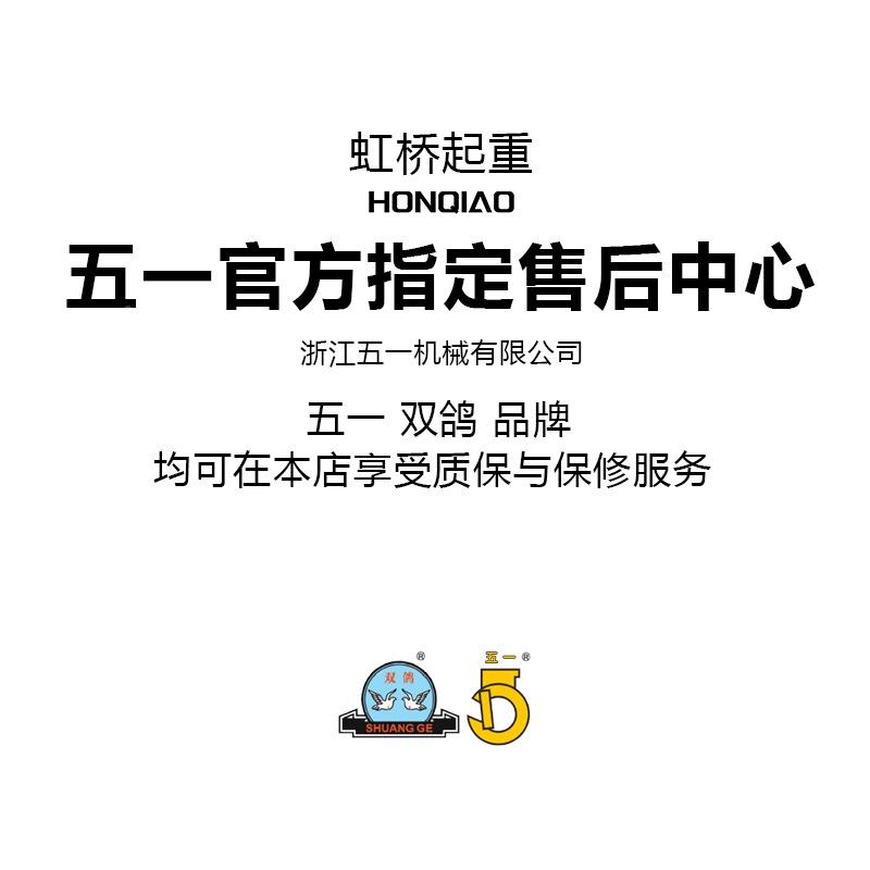 链1t6m电动升机DHT-Z型1T2T吨T510环吨80V电葫提芦家用起重升降